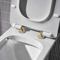 Coastal Brass Toilet Seat Hinge Set Lune