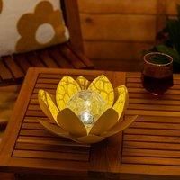 https://www.burton.co.uk/product/valuelights-waterlily-solar-powered-outdoor-lotus-flower-decoration-garden-light_p-16ec5132-9b7a-4e02-b5ce-83b9ff80cf27£colour=Yellow&size=One%20Size