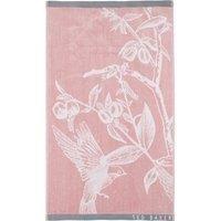 Ted Baker Botanical Birds Towel Collection