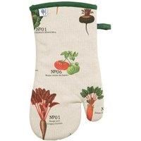 RHS Benary Vegetables Gauntlet, Stone