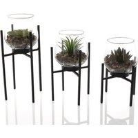 Hestia Set of 3 Glass Plant Pots wit Faux Succulent