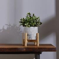 Disney Home - Forest Friends Bambi Planter On Stand 15 x 15 x 18