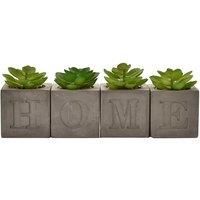 Hestia Set of 4 Artificial Succulents in a Cement Plant Pot