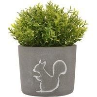 Hestia Squirrel Silhouette Planter with Plant 10cm Diameter