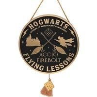 Warner Bros Harry Potter Alumni Pendant Flying Lesson