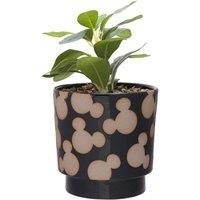 Disney Mickey Shapes Black Planter