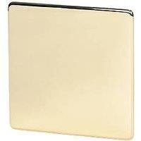 Crabtree Platinum 1-Gang Blanking Plate Polished Brass (43487)