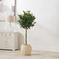 Pacific Lifestyle Bobble Fibrestone Decorative Planter Cream 39cm H x 42cm W x 42cm D
