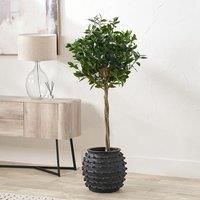 Bobble Fibrestone Plant Pot