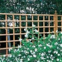 FSC Wood Heavy Duty Trellis  2ft x 6ft