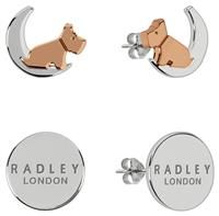 Radley Jewellery Set Of 2 Earrings