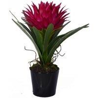 Pink Tropical Plant Black Pot Made From Smooth Ceramic Faux Soil And Brown Root