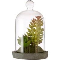 Premier Housewares Small Faux Succulent in Dome with Cement Base