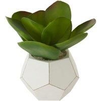 Premier Housewares Homeitem, Multicolour, One Size