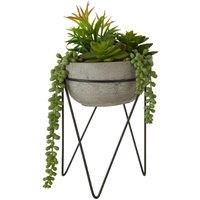 HoF Living Faux Mixed Succulant On Stand