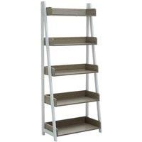 Premier Housewares Bradbury 5 Tier Light Oak Effect Large Shelving Unit, Home Office Ladder Shelf with White Metal Frame 67x33x160cm