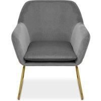 Durable And Versatile Grey Velvet Armchair, Easy Care Velvet Chairs, Indoor Dining with Velvet Dining Chair
