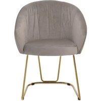 Orsina Mink Velvet Dinner Chair, Easy to Care Armrest Accent Dining Chair, Easily Adjustable Indoor Chair in Brown