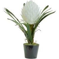 Interiors by PH White Tropical Plant