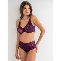 Charnos Rosalind Brief Womens Lacy Lingerie Everyday Lingerie Essentials 116505
