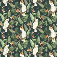 Isabelle Boxall Wallpaper Birds of Paradise IB5012