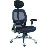 Teknik Cobham Luxury Mesh Back Executive Office Chair with Lumbar Support - Black