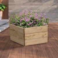 Greena® Pentagonal Raised Bed - Ideal herb Planter/Flower Planter - (60(L) cm x 45(H) cm)