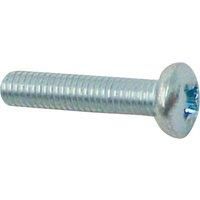 M6 Screw, Nickel