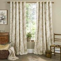 Laura Ashley Pussy Willow Eyelet Curtains, 162 x 228cm, Ochre
