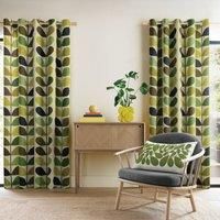 Orla Kiely Curtains - 1 Pair Multi Stem Fern-Ochre Lined Eyelet Curtains 100% Cotton (168cm x 183cm (66" x 72"))