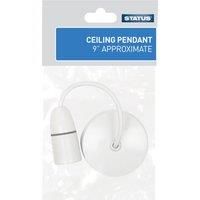 Status 9-inch Ceiling Pendant with Lampholder, White