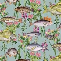 Lagoon Teal Fish Wallpaper by Holden Multicoloured Fishes 12171