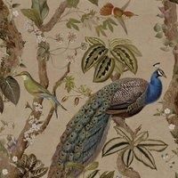 Holden Decor Peacock Woods Wallpaper Parent