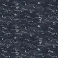 Lost In Space Wallpaper Midnight Silver Holden 14051 Galactic Adventure