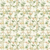 Albany Wallpaper Trailing Floral Trellis 14200