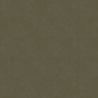 Albany Wallpaper Tenere 66013