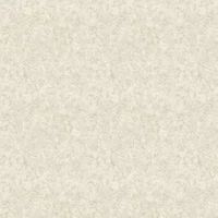 Albany Wallpaper Tassili 66061