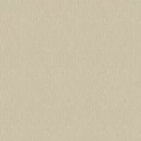 Albany Wallpaper Textura 66143