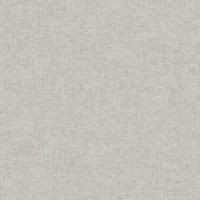 Hawthorn Plain Sleek Modern Minimalistic Textured Blown Vinyl Wallpaper Ideal for Living Rooms, Bedrooms, Hallways Grey Holden 76020