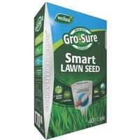 Westland Garden Gro-Sure Smart Patch Lawn Grass Seed with Aqua Gel  - 1.6kg