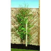 Wickes Timber Garden Tree Stake - 40mm x 1.8m