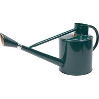 Kent & Stowe 9L Long Reach Watering Can in Forest Green, Rust-Resistant Galvanised Watering Can with Swivel Rose Head, Classic All Year Round Garden Tools Made from Steel