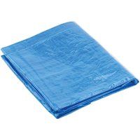 Sealey TARP1620 Tarpaulin, 4.88 x 6.10m, Blue