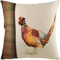 Evans Lichfield Hunter Pheasant Polyester Filled Cushion, Multi, 43 x 43cm