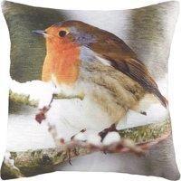 Evans Lichfield Photo Robin Cushions