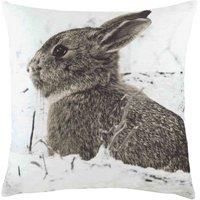 Evans Lichfield Photo Hare Cushions