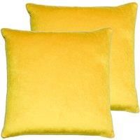 Paoletti Meridian Twin Pack Polyester Filled Cushions, Cylon/Silver, 55 x 55cm