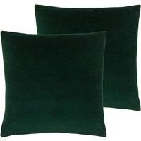 Evans Lichfield Sunningdale Twin Pack Polyester Filled Cushions Bottle 50 x 50cm