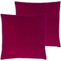 Evans Lichfield Sunningdale Twin Pack Polyester Filled Cushions Cerise 50 x 50cm