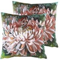 Evans Lichfield Winter Florals Chrysanthemum Polyester Filled Cushions (Twin Pack), Terracotta, 43 x 43cm